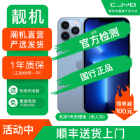 [99新]Apple iPhone 13Pro Max 远峰蓝色512GB 二手手机 苹果13PM 全网通5G 国行正品