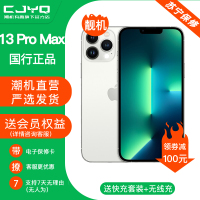 [99新]Apple iPhone 13Pro Max 银白色512GB 二手手机 苹果13PM 全网通5G 国行正品