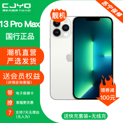 [99新]Apple iPhone 13Pro Max 银白色256GB 二手手机 苹果13PM 全网通5G 国行正品