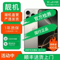 [二手99新] Apple iPhone 16 Pro Max原色 1TB 二手苹果16P手机 全网通 国行5G正品