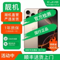 [二手99新] Apple iPhone 16 Pro Max沙漠金色 1TB 二手苹果16P手机 全网通 国行5G