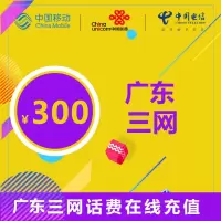 广东通用三网话费充值 300元 24小时自动充值 自动快充