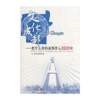 文化成都/把什么样的成都带入2020年9787010069517人民出版社