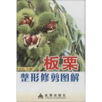 板栗整形修剪图解9787508237336金盾出版社