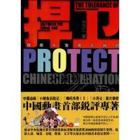 捍卫理想与宽容之间的中国动画9787503941184文化艺术出版社