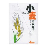 小麦增效栽培9787533733551安徽科学技术出版社