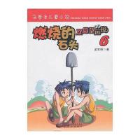 燃烧的石头9787807479796海天出版社