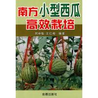 南方小型西瓜高效栽培9787508241753金盾出版社