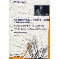 托妮?莫里森《宠儿》、《爵士乐》、《天堂》三部曲中的身份建构9787561535363厦门大学出版社