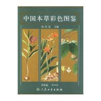 中国本草彩色图鉴(D4卷.草药篇)9787117052528人民卫生出版社