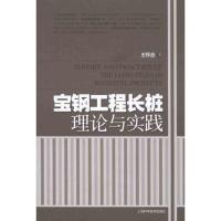 宝钢工程长桩理论与实践9787547805053上海科学技术出版社