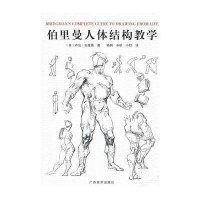 伯里曼人体结构绘画教学9787807460848广西美术出版社