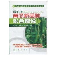 保护地蔬菜新品种彩色图说丛书--保护地黄瓜新品种彩色图说9787122072566化学工业出版社