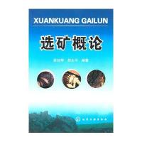 矿概论9787122099440化学工业出版社