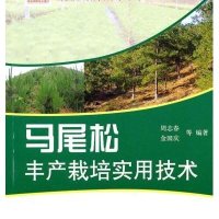 马尾松丰产栽培实用技术9787503860027中国林业出版社
