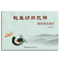 赵孟頫胆巴碑速成技法描红9787534434143江苏美术出版社