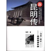 新昆明传9787536061040花城出版社