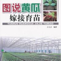 图说黄瓜嫁接育苗(全彩)9787508270319金盾出版社