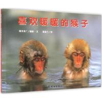 喜欢暖暖的猴子9787505610019连环画出版社