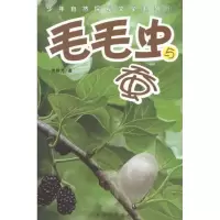 毛毛虫与蚕9787515304977中国青年出版社