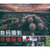 数码摄影  秘笈9787302262466清华大学出版社