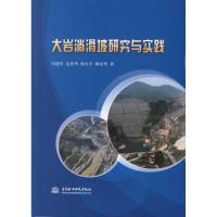 大岩淌滑坡研究与实践9787508491578中国水利水电出版社