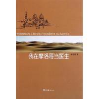 我在摩洛哥当医生9787549603138文汇出版社