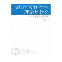 理论是什么——文学理论反思研究9787010101415人民出版社