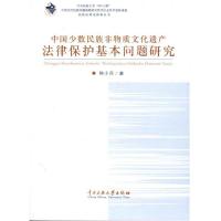 中国少数民族非物质文化遗产法律保护基本问题研究9787811089813中央民族大学出版社