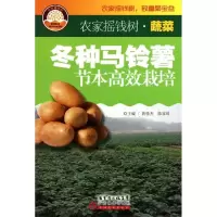 冬种马铃薯节本高效栽培9787535955753广东科技出版社