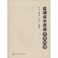 盐湖卤水资源开发利用9787122132307化学工业出版社