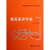 视觉素养导论9787303144914北京师范大学出版社