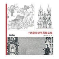 中国新锐钢笔画精品集9787561844427天津大学出版社