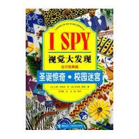 圣诞惊奇.校园迷宫9787544828307接力出版社