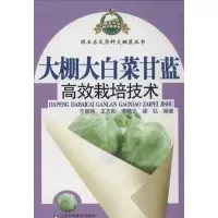 大棚大白菜甘蓝高效栽培技术9787533161026山东科学技术出版社