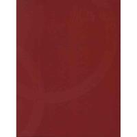 凤与火 北京2008年奥林匹克运动会火炬接力形象景观设计9787112148448中国建筑工业出版社