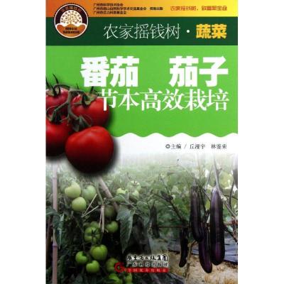 番茄 茄子节本高效栽培9787535957122广东科技出版社