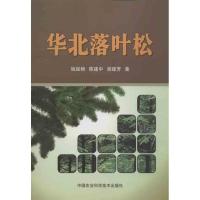 华北落叶松9787511611024中国农业科学技术出版社