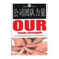 公司团队力量9787517101284中国言实出版社