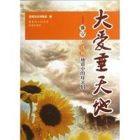 大爱垂天地:雅安汶川地震中的母亲们9787536067714花城出版社