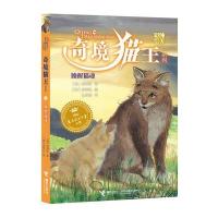 唤醒猫魂（纯美彩绘）（4）9787544830027接力出版社