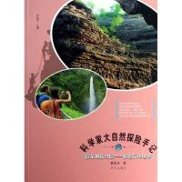 地质公园:解密天碑地书9787533274382明天出版社