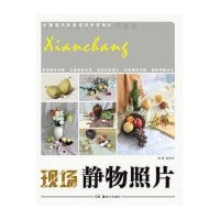静物照片:全国美术高考培训专用教材9787535662217湖南美术出版社