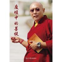 废墟中的菩提9787511250735光明日报出版社