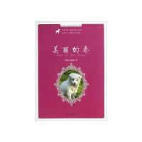 美丽的乔9787548807568济南出版社