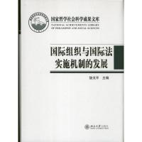 国际组织与国际法实施机制的发展(2012)9787301222713北京大学出版社