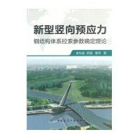新型竖向预应力钢结构体系拉索参数确定理论9787112152148中国建筑工业出版社