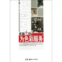 为色彩服务9787535664020湖南美术出版社
