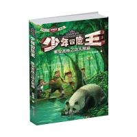雅安密林之功夫熊猫9787550505995大连出版社
