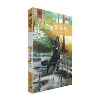 银狐传9787515319964中国青年出版社